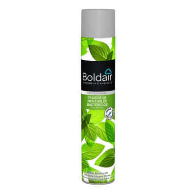 BOLDAIR 500ML MENTHE BACTERICIDE