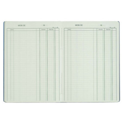 RECETTES-DEPENSES - 29,7X21 - 80P