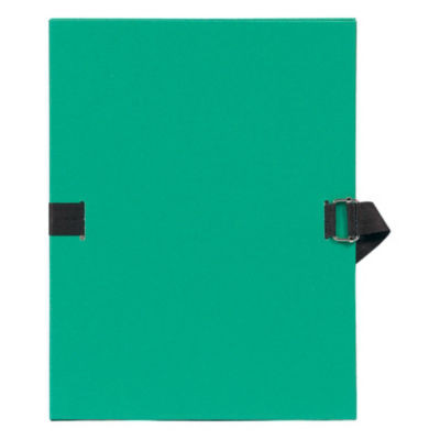 CHEMISES EXTENSIBLES VERT CLAIR