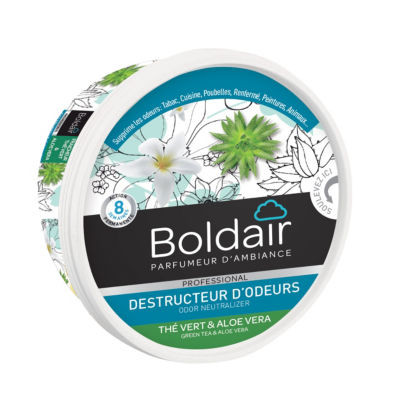 BOLDAIR DESTRUCTEUR D'ODEURS THE VERT
