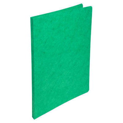 CHEMISE DOS RAINE CARTE 24X32 VERT