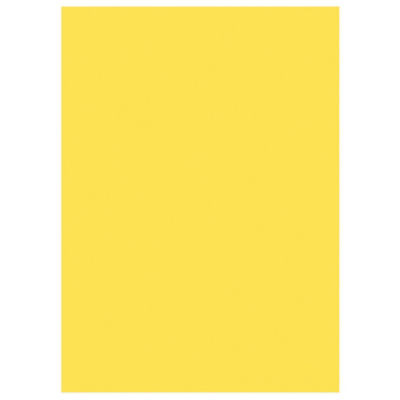 LOT 250 SOUS-CHEM RAJA PASTEL JAUNE