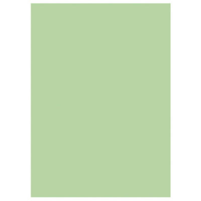 LOT 250 SOUS-CHEM RAJA PASTEL VERT P