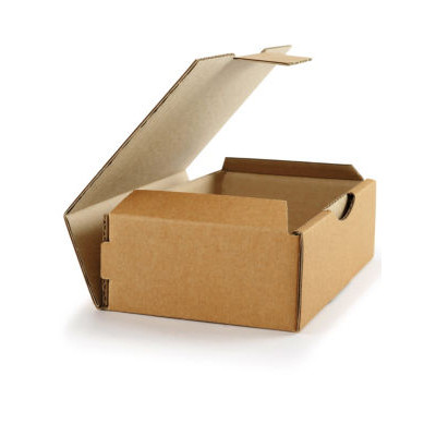 LOT 50 BOITE POSTALE KRAFT 18X10X5