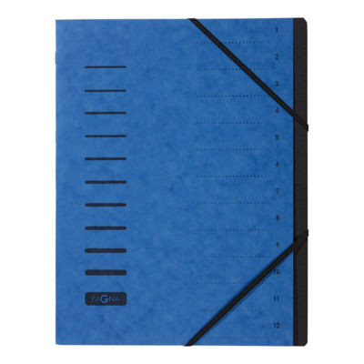 TRIEUR 12 DIVISIONS BLEU