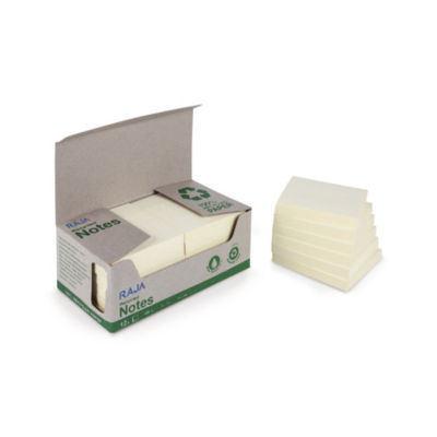 LOT 12 NOTES RAJA 100F JAUNE RECY 51X38