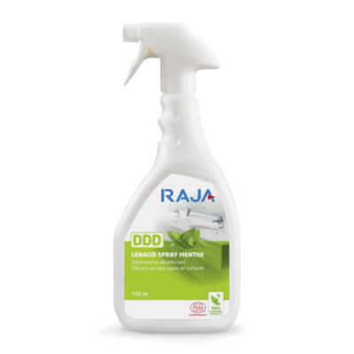 SPRAY DETERGENT DDD 750ML RAJA