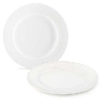LOT 12 ASSIETTES PLATES DELTA 27CM
