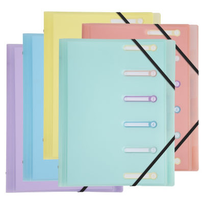 TRIEURS 6 DIV PP CHROMALINE ASSORTIS