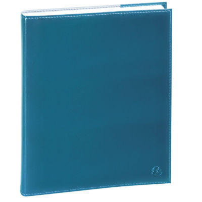 AGENDA JOURNEE PLANIFIEE 22 VOLGA BLEU