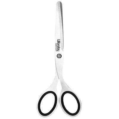 CISEAUX AMBI'NOX 17 CM BOUTS RONDS