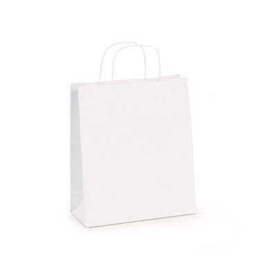 LOT 100 SAC KRAFT BLANC 24X34X8CM