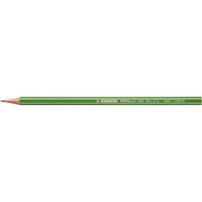 BTE 12 CRAYONS GRAPHITE GREENgraph HB