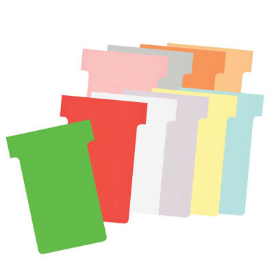 100 FICHES T INDICE 2 BLANC