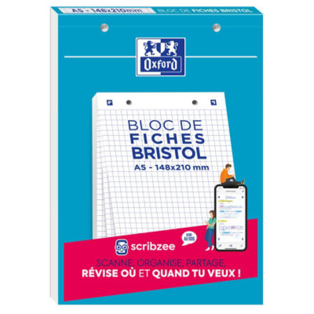 BLOC 30 BRISTOL A5 PERF 210G Q5 BLANC